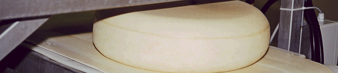 vochtmeting cheesemaster